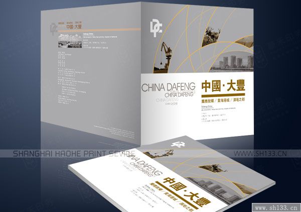 中国大丰政府样本设计