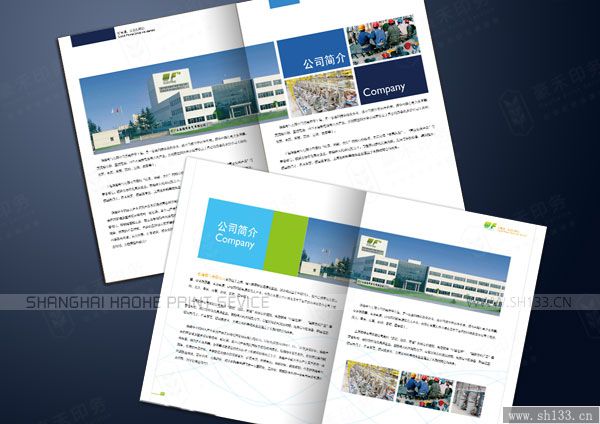 公司内页设计