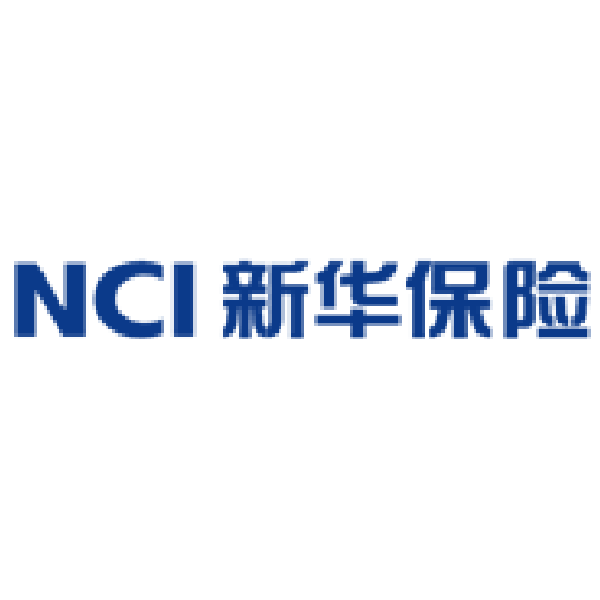 手提袋印刷制作--新华保险形象