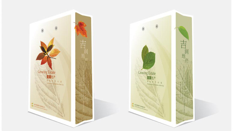 手提袋/纸拎袋--企业宣传手提袋印刷制作
