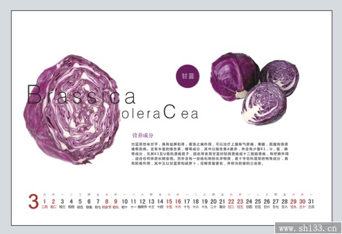 个性办公台历制作   健康膳食风格台历制作